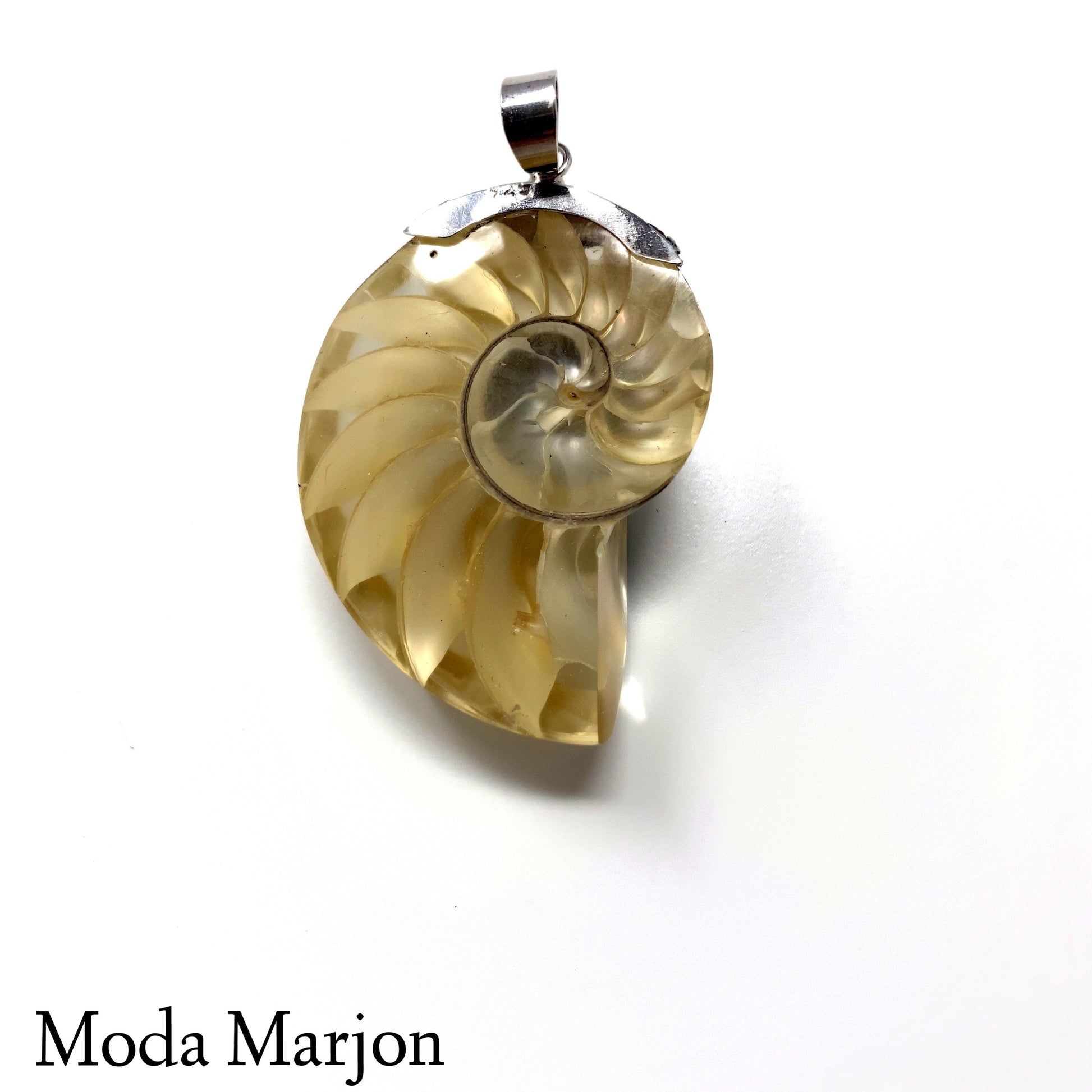 Exposed Chamber Nautilus Pendant - Moda Marjon 