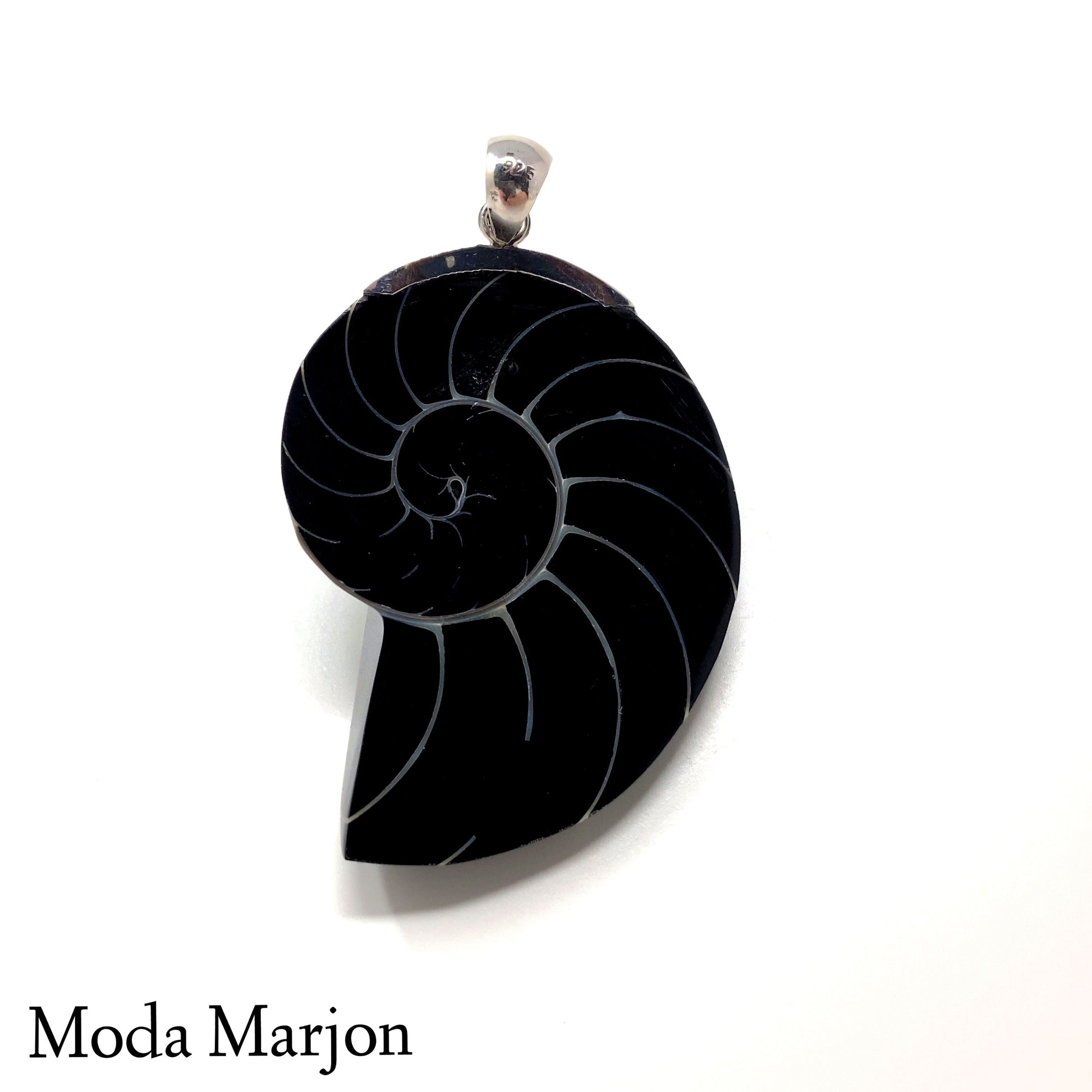 Back Nautilus Shell - Moda Marjon 